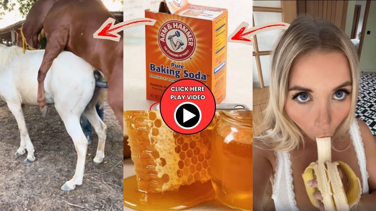 Dr Annika Ackerman Brazzers urologist honey trick